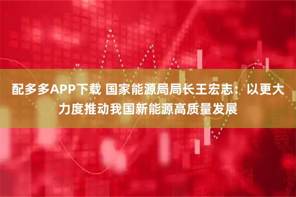 配多多APP下载 国家能源局局长王宏志：以更大力度推动我国新能源高质量发展