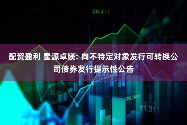 配资盈利 星源卓镁: 向不特定对象发行可转换公司债券发行提示性公告